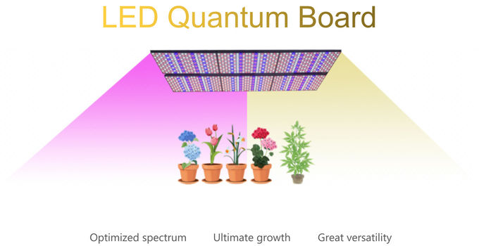 LED Quantum暖かく白いGrowlights 480pcsは屋内植物0のために軽く育つために導かれるLm301bを欠く