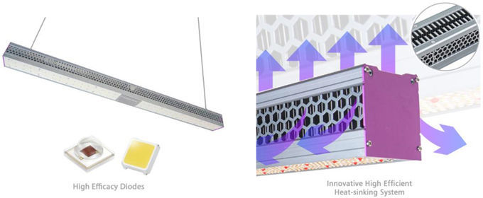 温室LEDは有効なライトを育て、導かれる強力なIp65商業屋内植物は0を育てる